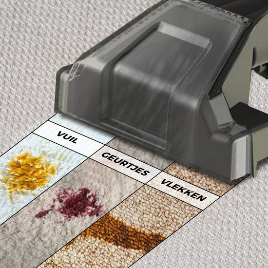 Vonia Teppichreiniger - Fleckenreiniger - Sofareiniger - Reinigungsmaschine - Polsterreiniger - 450W - Grau