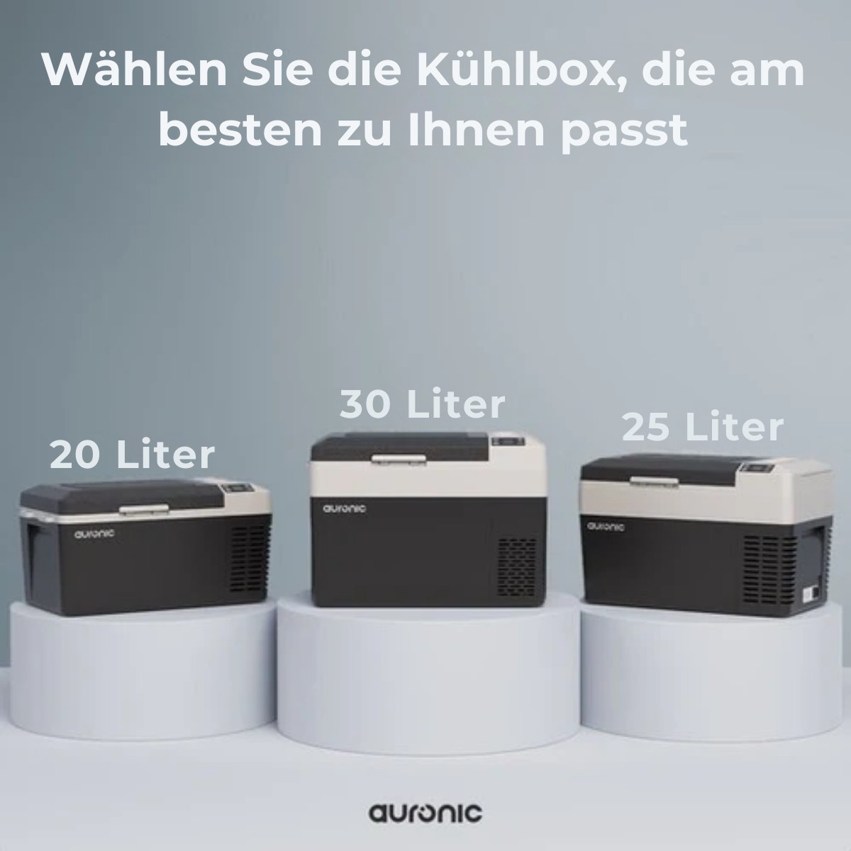 Auronic Electric Cool Box - Frigobox - Kompressor - 12V 230 Volt - Auto - 30L - Schwarz/Grau