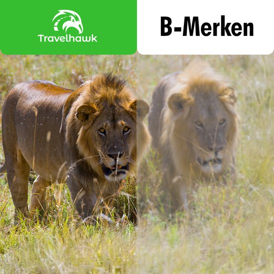 Travelhawk Fernglas - 20x50 - BAK4 - Voll multivergütet (FMC) - Kompaktes Fernglas - Wasserdicht - Mit Umhängekordel, Tragetasche - für Vogelbeobachtung, Jagd, Theater - Schwarz