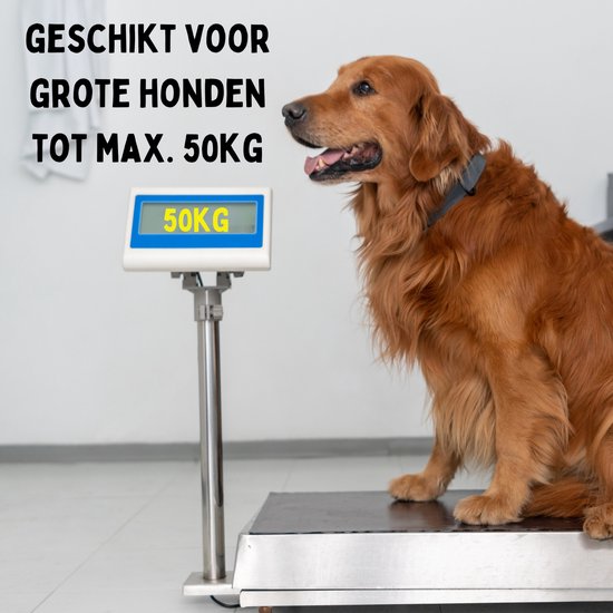 By Cee Cee Hundeleine 8 Meter - Leine für Hunde bis 50KG - Schwarz - Reflektierende Leine - Stabiles robustes Material - Reibungsloses Auf- und Abwickeln