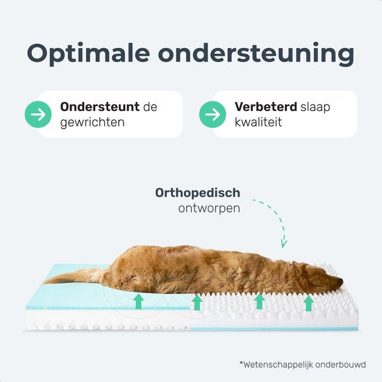 Orthopädisches Hundekissen XL - Orthopädischer Hundekorb - Bett - Bank - Waschbar - Hundebett - Panier Chien - Grau - Dutchwide