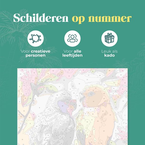 Rubye® Malerei auf Nummer - Papageien für Erwachsene und Kinder - 40x50cm