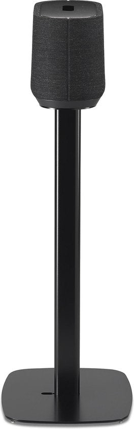 Citation 300 Standard schwarz