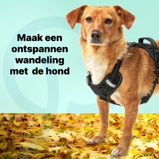 Jake und Jacky Hundegeschirr - Anti-Zieh-Geschirr - Hundegeschirr - Y-Geschirr Hund - Reflektierend - Schwarz - Größe S