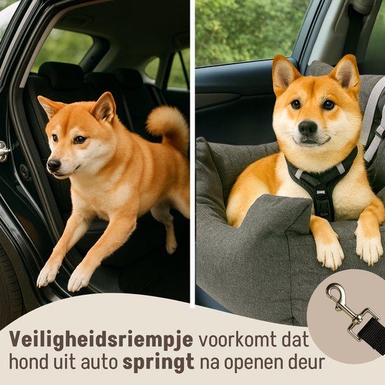 By Cee Cee Autositz Hund - Premium-Autokorb Hund - Hundekorb Auto mit Sicherheitsgurt - Hundesitz - Autositz -All Season - Grau - Größe M - Kleine und mittlere Hunde