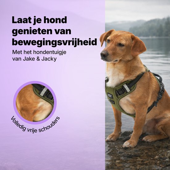 Jake und Jacky Hundegeschirr – Anti-Zug-Geschirr – Hundegeschirr – Y-Geschirr für Hunde – Reflektierend – Grün – Größe S