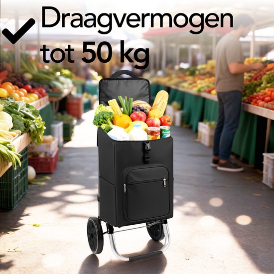 Brixy Einkaufswagen - Zusammenklappbar - Mit Rädern - Abnehmbare Einkaufstasche - Einkaufswagen - Schwarz