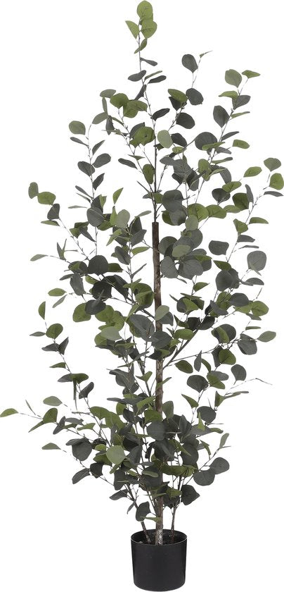 Mica Decorations Künstliche Eukalyptuspflanze im Blumentopf - H150 x Ø30 cm - Grün