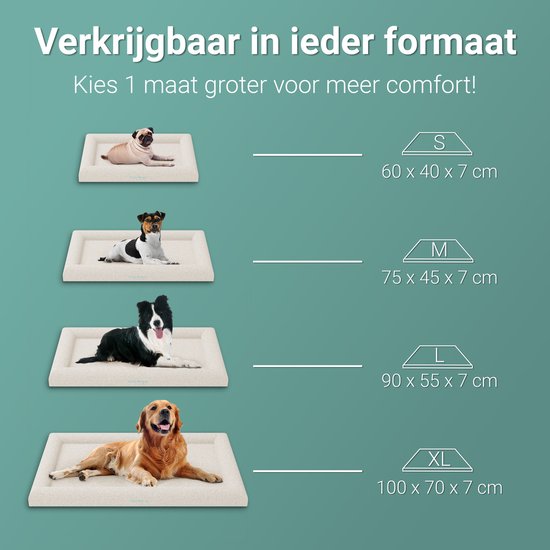 CozySense® Orthopädischer Hundekorb - 60 x 40 cm - Größe S - Bouclé-Stoff - Wasserdichtes Hundebett mit waschbarem Bezug - Als Sitzkissen geeignet - Weiß