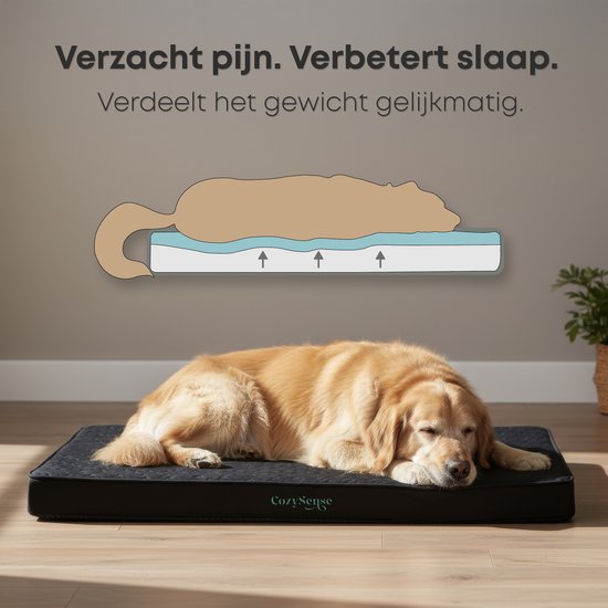 CozySense® Orthopädisches Hundekissen 60 X 40 Cm - Größe S - Wasserdicht - Geeignet als Sitzkissen & Hundebett - Waschbarer Bezug - Schwarz