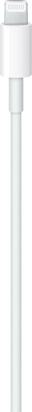 Apple MW2R3ZM/A USB-Kabel - USB 2.0 - USB-C zu Lightning - 2,00 m - Weiß
