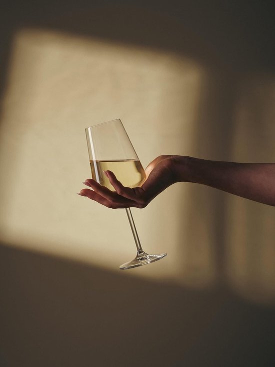 Schott Zwiesel Passionata - Weißwein - 450ml - Gläser - Kristall - 2 Stück