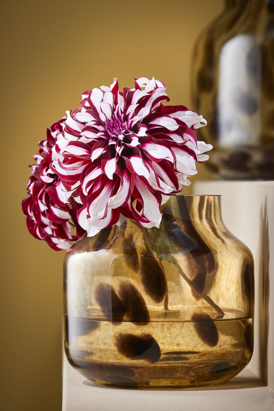 Mica Decorations Pantera Vase - H27 x Ø26 cm - Braun