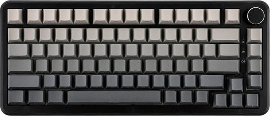 Ajazz RGB Mechanische Gaming-Tastatur - 75% kabelgebundene - Hall-Effekt Rapid Trigger - Seitlich bedruckte Tasten - Dichtung - Hot Swap - 8K Hz Polling Rate - QWERTY - 82 Tasten - Gradient Grey