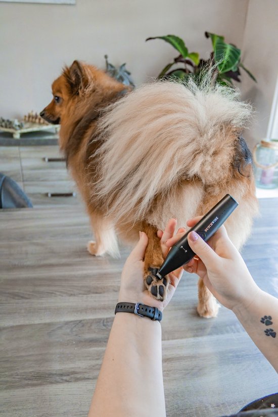 Dutchwide - Schermaschine für Hunde und Katzen - Für dickes Fell - Leise - Kabellos - Trimmer - weiß