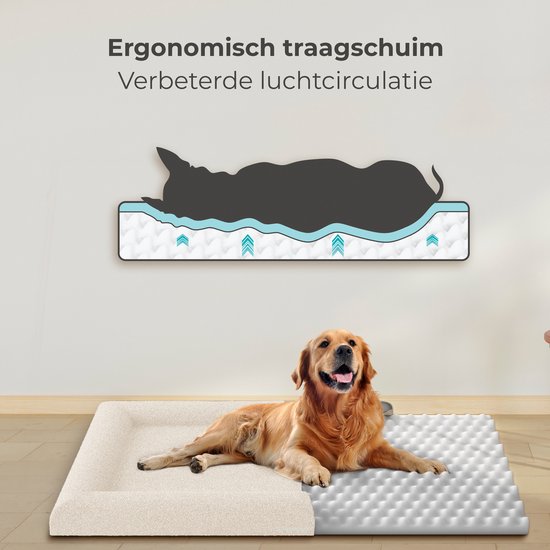 CozySense® Orthopädischer Hundekorb - 60 x 40 cm - Größe S - Bouclé-Stoff - Wasserdichtes Hundebett mit waschbarem Bezug - Als Sitzkissen geeignet - Weiß