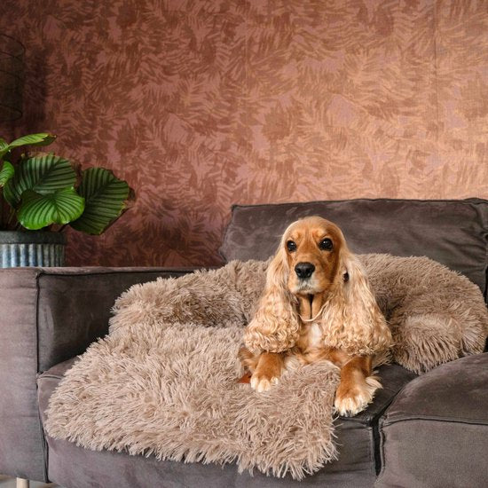 By Cee Cee Original Hundedeckenbank - Hundedeckenbank - Hundekorb - Premium - komplett abnehmbar - flauschiges Mocha - Größe M - 90x90