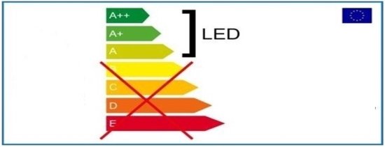 DecorativeLIghting Buchsbaum Lichterkette - 100 LEDs - warmweiß