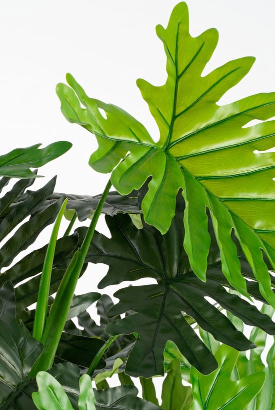 Mica Decorations Philodendron Künstliche Pflanze - H120 x Ø80 cm - Grün