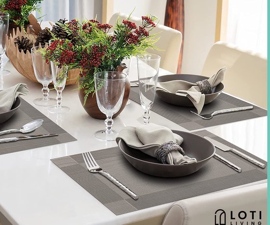 Loti Living Tischsets 4 Stück - Tischsets Kunststoff - Tischsets Kunststoff - Untersetzer -30x45cm - Metallic grau