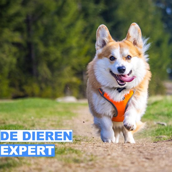 Tierauslauf XXL - Auslauf - Verstellbar - Indoor - Welpenauslauf - Kleintiere - Kätzchen - Weiß - 142 x 71 x 53cm