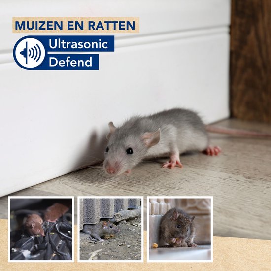 Edialux Ultrasonic Defend Ultraschall-Mausabwehr Rattenabwehr, Nagetierabschreckung, Ultraschall, wasserdicht ip44, usb wiederaufladbar, innen und außen, Garten, Schuppen, Keller, 15-24 Tage Autonomie, 80m² Reichweite