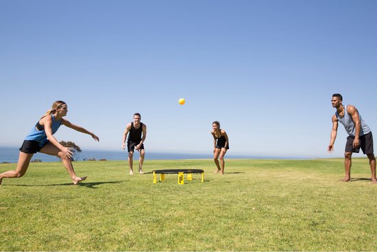 Spikeball Standard-Set