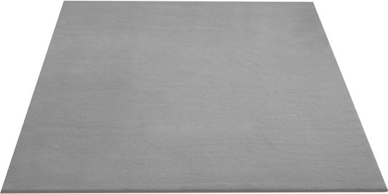 tectake® Kurzflorteppich - 120 x 170 cm - Grau - Teppich für Wohnzimmer, Schlafzimmer, Esszimmer - Pflegeleicht und waschbar - Rutschfeste Unterlage - Allergikerfreundlich - Verschiedene Größen und Farben