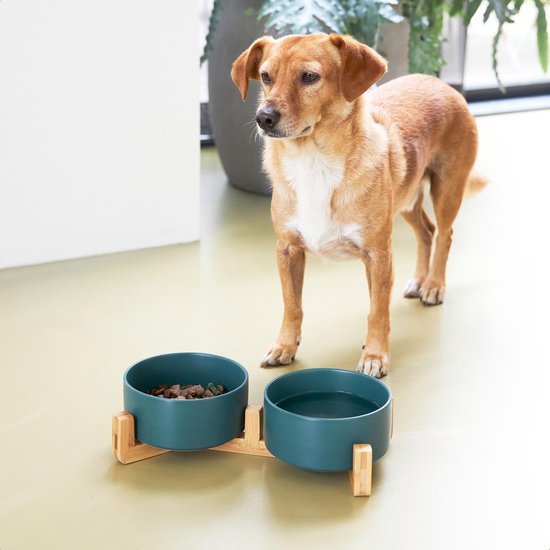 Futternapf Hund - Trinknapf - Mit Bambusständer - 2x 800 ml - Größe M - Grün matt