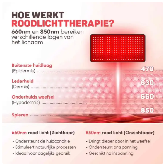 Vulpes Goods® - Tragbares Infrarotband XL - 61 x 30,5 cm - Mit 242 LEDs und 5 Intensitätsstufen und Pulsmodus und Timer - Für Rücken und Schultern und Beine - Schwarzes PU und TPU