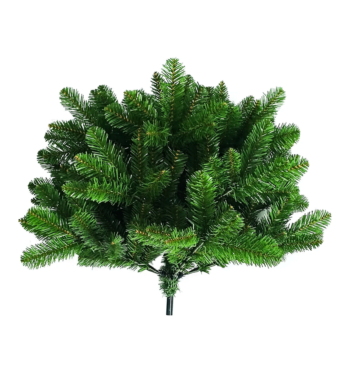 Daisy Darcy Weihnachtsbaum „Mountain Pine“ – 183 cm – Durchmesser 101 cm – Grün