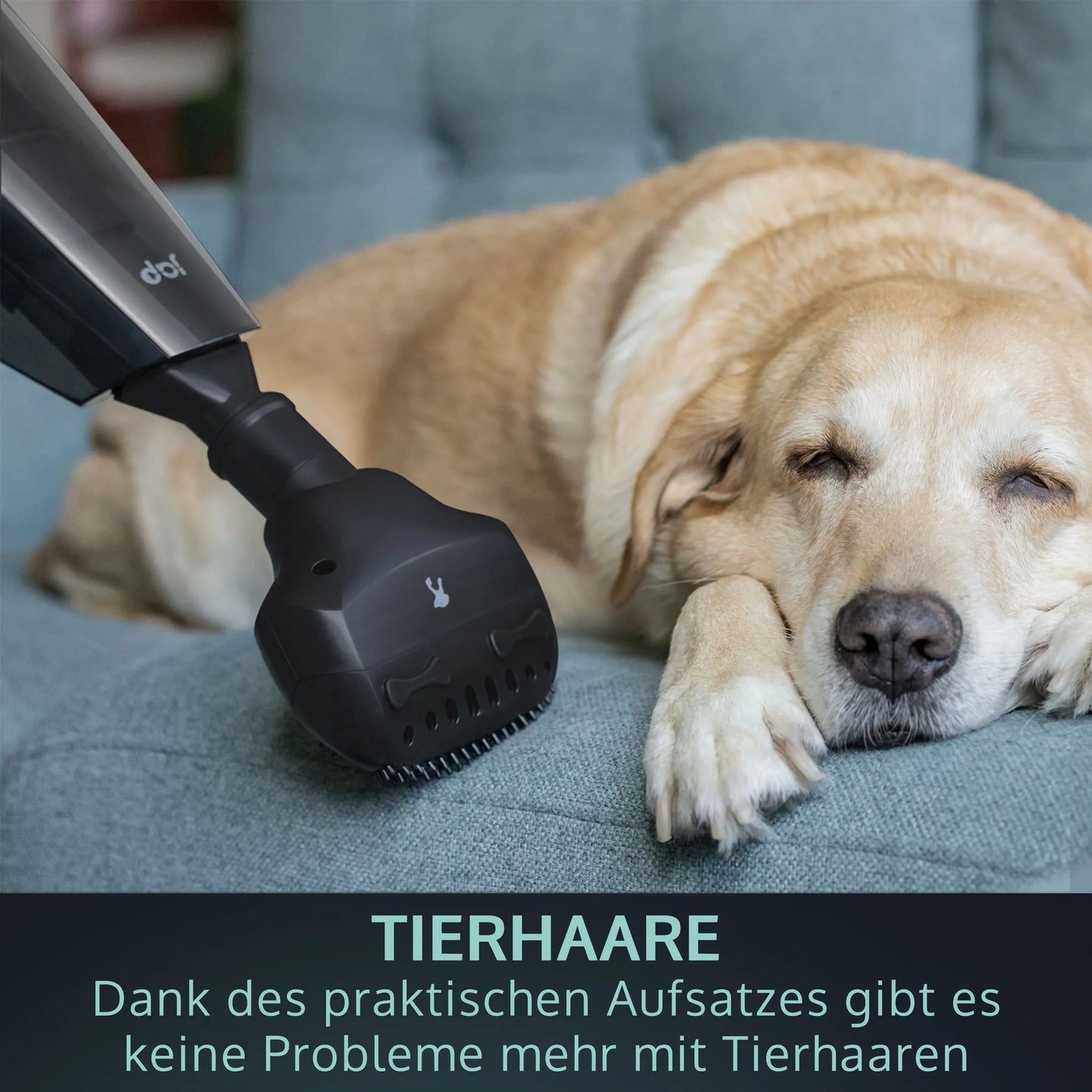 JAP Appliances - All-in-One Handstaubsauger - Nass- und Trockenschmutz - Kabellos - Schwarz