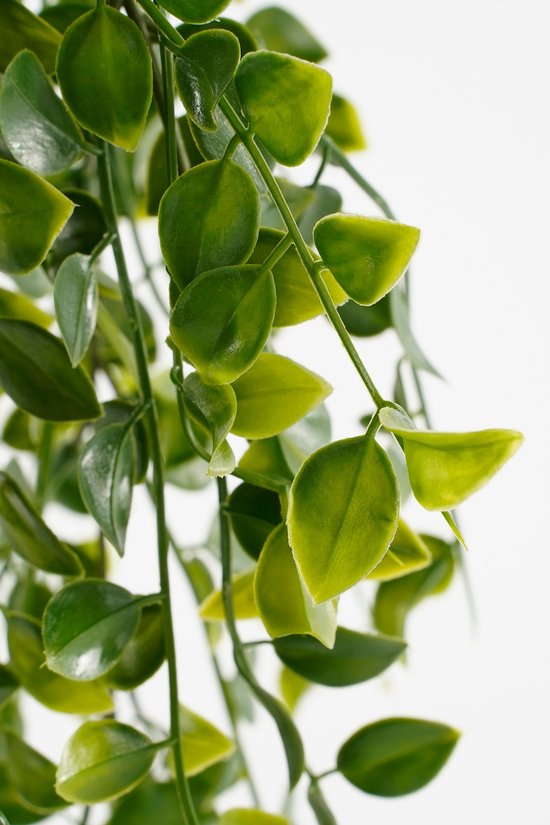 Mica Decorations Ficus Künstliche Hängepflanze im Topf - H46 x Ø20 cm - Grün