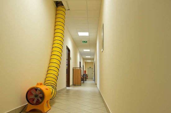Master Profi-Bauventilator – 7800 m³/h – 750 W – BL8800