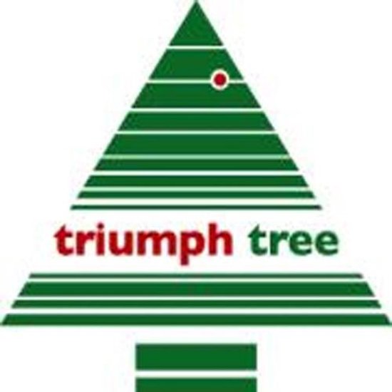 Triumph Tree Bristlecone Künstlicher Weihnachtsbaum mit LED-Lichtern - H185 x Ø119 cm - Dunkelgrün