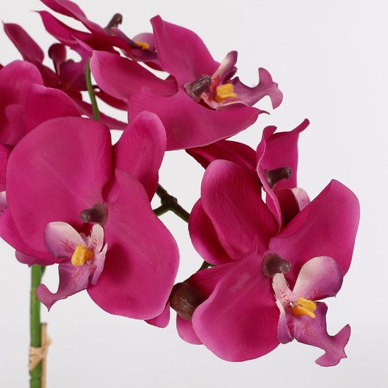 Mica Decorations Phalaenopsis-Kunstpflanze im Blumentopf „Tusca“ – H 60 x Ø 16 cm – Lila