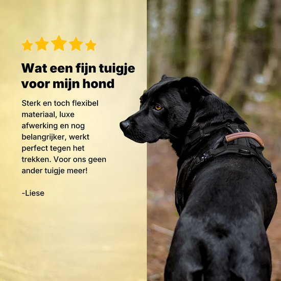 Jake und Jacky Hundegeschirr für große Hunde - Anti-Zug-Geschirr - Y-Geschirr Hund - Hundegeschirr - Schwarz - Größe XL