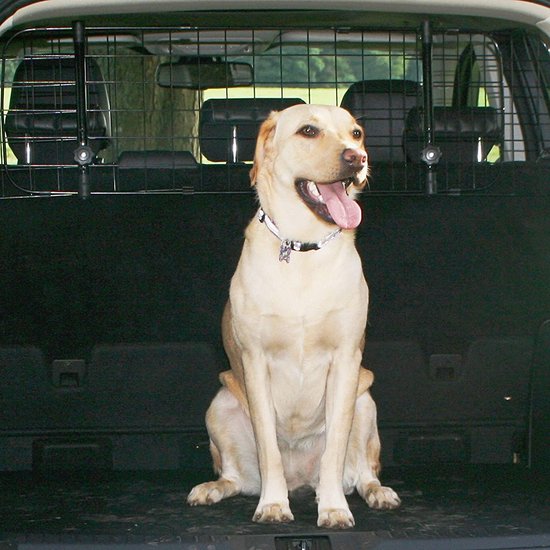 Sakura Hundegitter zur Befestigung an den Kopfstützen im Auto SS5259 – einfache Montage für Schrägheckmodelle, SUVs, Kombis und MPVs – in der Breite verstellbar, kein Werkzeug erforderlich