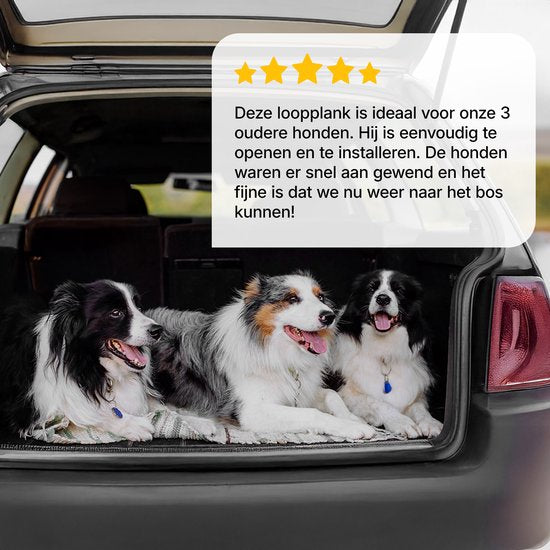 Jake und Jacky Hundetreppe für das Auto – Zusammenklappbare Hundetreppe – Rutschfeste Treppe für große Hunde – Zusammenklappbar – Reflektierend – 180 x 55 cm – Gewicht bis zu 70 kg