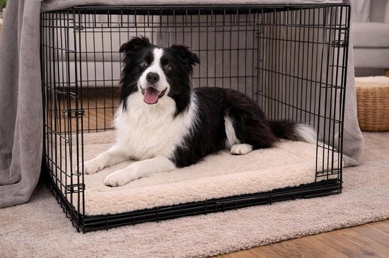 Hundekissen – Hundekorb – Naya, rechteckig, beige, 100,5 x 63,5 cm – weicher Liegekomfort – perfekte Passform – langlebig