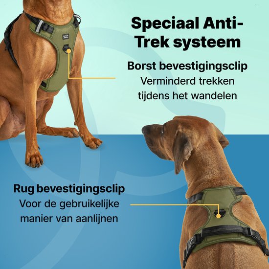 Jake und Jacky Hundegeschirr - Anti-Zieh-Geschirr - Hundegeschirr - Y-Geschirr Hund - Reflektierend - Grün - Größe L
