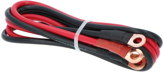 Carpoint-Wechselrichter – 12 V > 230 V – Reine Sinuswelle – Dauerleistung 500 W - Spitzenleistung 1000 Watt – Ausgang mit französischer/belgischer Steckdose – Permanenter Anschluss an die Batterie – Stoßfest – Temperaturgesteuerter Lüfter – Abmessungen 21