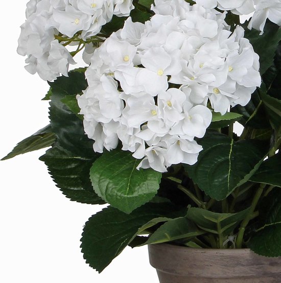 Mica Decorations Kunstpflanze Hortensie – weiß – 45 cm – im Topf – Kunstpflanzen/Kunstblumen
