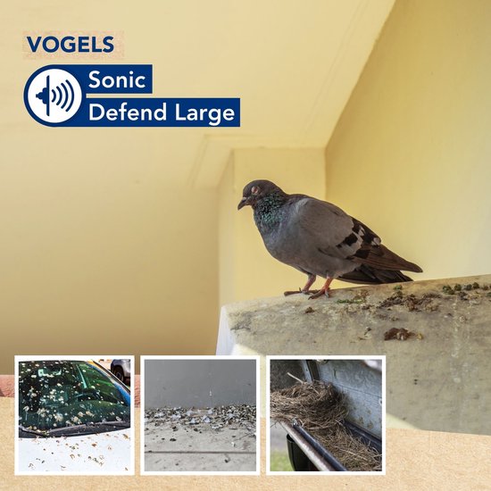 Edialux Sonic Defend Large Vogelabwehr, Vogelabwehr mit Vogelstimmen, Taubenabwehr, vertreibt Krähen, Stare, Möwen, vertreibt bis zu 150m², funktioniert mit Batterien oder Netzstrom, für Garten, Gemüsegarten, Obstbäume