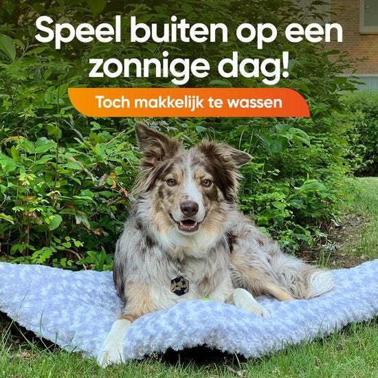 Happysnuts Hundekissen 90 x 60cm - Hundebett - Donut Hundebett - Flauschig - Grau - Waschbar