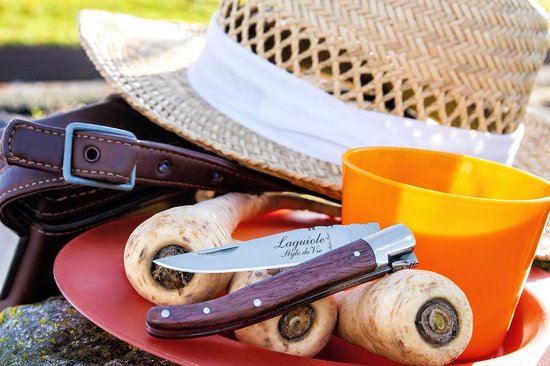 Laguiole Style de Vie Taschenmesser - in Geschenkbox - Rotes Packholz