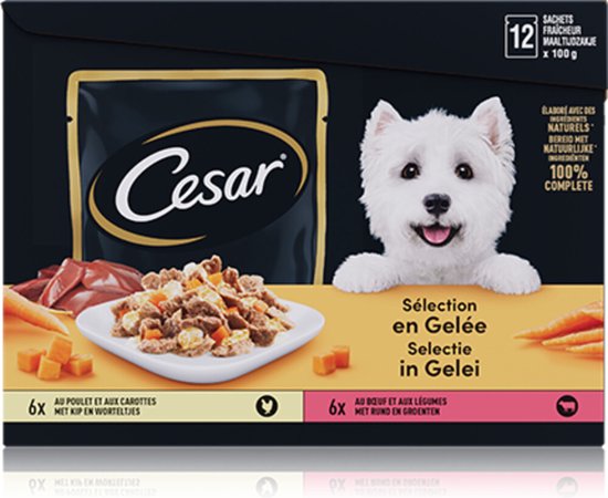 Cesar Meal Pouches Multipack Adult In Jelly - Hundefutter - 12 Stück