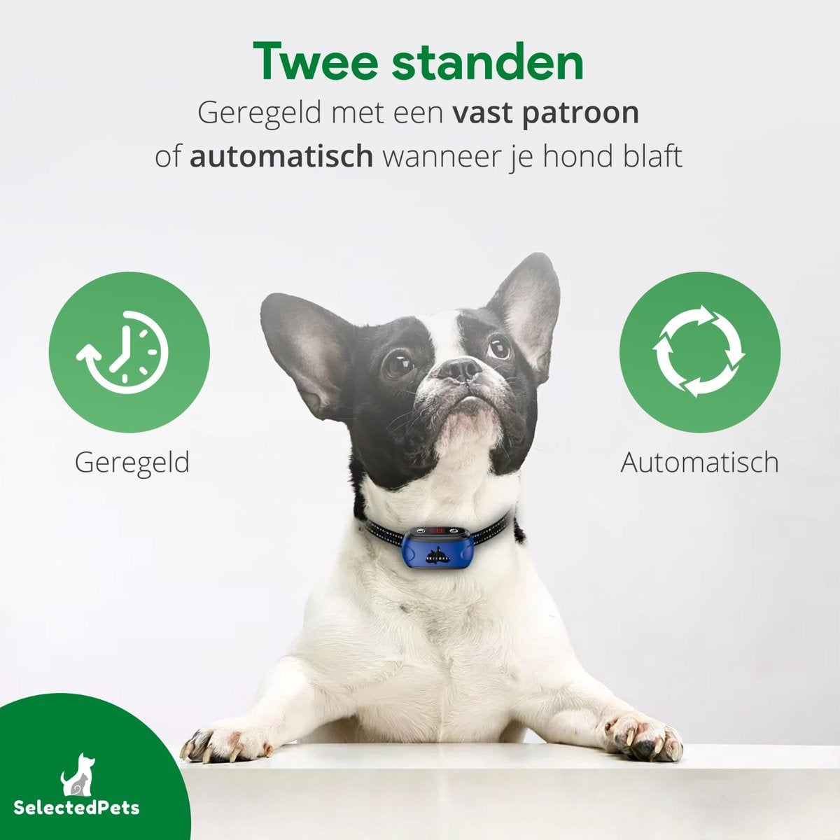 Anti-Bell-Halsband - Bellen-Halsband für Hunde - Bellen-Halsband großer und kleiner Hund - Automatische Bellen-Erkennung einstellbar auf Ihren Hund