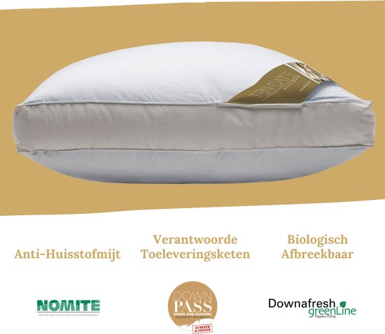 Ten Cate Kopfkissen – Kopfkissen bei Nackenbeschwerden – Gänsedaunen & Gänsefedern – Dreikammer – Kopfkissen – Geeignet für Rücken-, Seiten- und Bauchschläfer – Ergonomisches Boxkissen – 50 x 60 cm