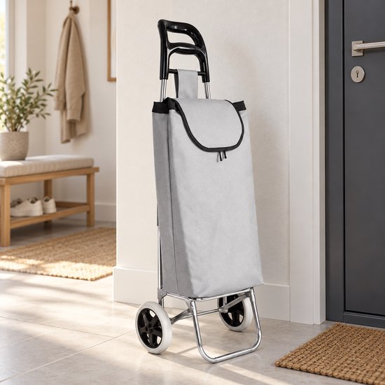 BE strong Einkaufswagen 25 l – 2 Räder – Grau